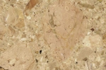 Breccia Aurora