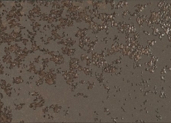 Spieki - Laminam - Oxide Moro